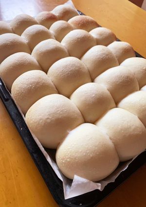 毎朝食べる手ごねちぎりパン-レシピのメイン写真