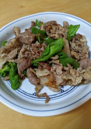 豚肉とピーマンの炒めもの-レシピのメイン写真