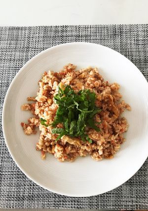 鮭フレークでさっぱりお酢混ぜご飯-レシピのメイン写真