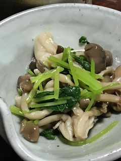 ソッコーおつまみ③ミツバとしめじのお浸し-レシピのメイン写真