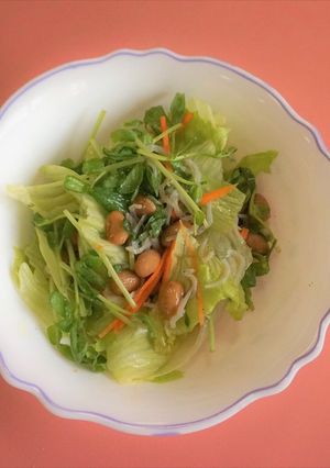五目納豆サラダ-レシピのメイン写真