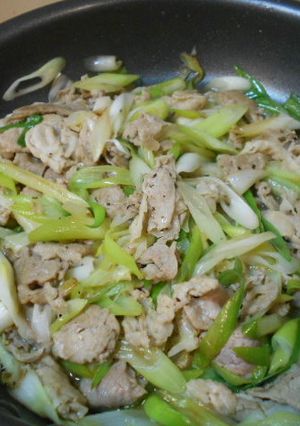 豚バラと長ネギの炒め物-レシピのメイン写真