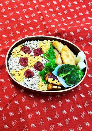 そぼろご飯とささみフライ弁当-レシピのメイン写真