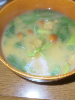 モロヘイヤとなめこの味噌汁-レシピのメイン写真