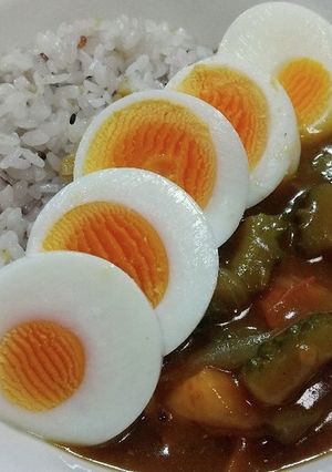 ゴーヤとトマトのカレー-レシピのメイン写真