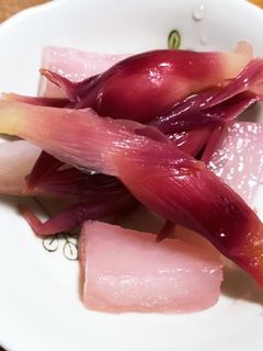 みょうがの甘酢漬け-レシピのメイン写真