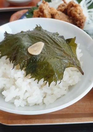 めんつゆで作る　合法ハーブshiso-レシピのメイン写真