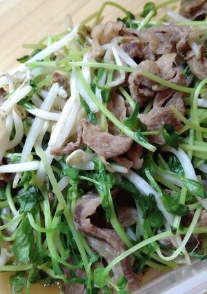 シャキシャキ☆牛肉ソース炒め-レシピのメイン写真