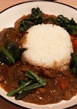 牛肉とナスのカレー 冷凍ほうれん草のせ-レシピのメイン写真
