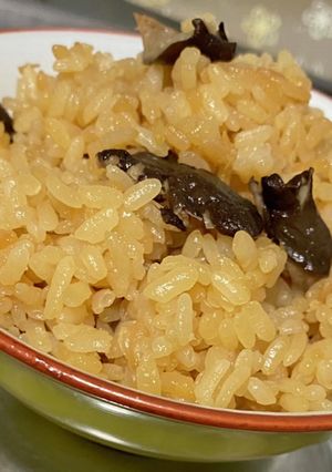 秋の味覚✨絶品　ひらたけのしょうがご飯-レシピのメイン写真