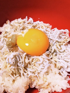 簡単!シラス丼〜いりごまライス-レシピのメイン写真