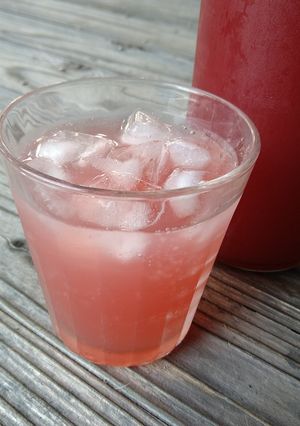 【ゆる四毒抜き】ヤマモモのクラフトコーラ-レシピのメイン写真