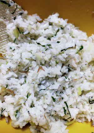 ちりめん大葉、みょうがの混ぜご飯-レシピのメイン写真