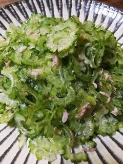 材料2つ大人のサラダ!ゴーヤーシーチキン-レシピのメイン写真