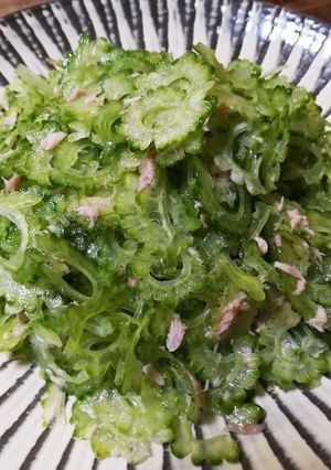 材料２つ大人のサラダ！ゴーヤーシーチキン-レシピのメイン写真