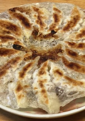 わが家のお気に入り餃子♪-レシピのメイン写真