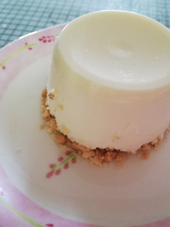 バニラヨーグルトを使ったレアチーズケーキ-レシピのメイン写真