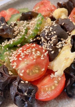きくらげとゴーヤと卵のヘルシー炒め-レシピのメイン写真