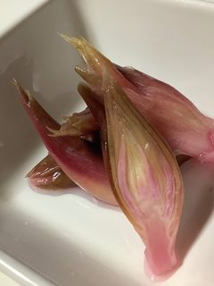 カンタン酢でかんたん茗荷の甘酢漬け-レシピのメイン写真