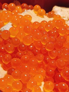 キラキラいくらたっぷり!美味しいはらこ飯-レシピのメイン写真
