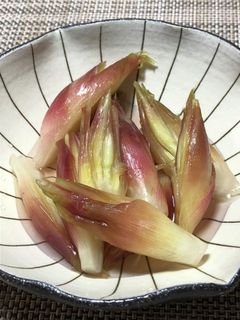 茗荷の甘酢漬け-レシピのメイン写真