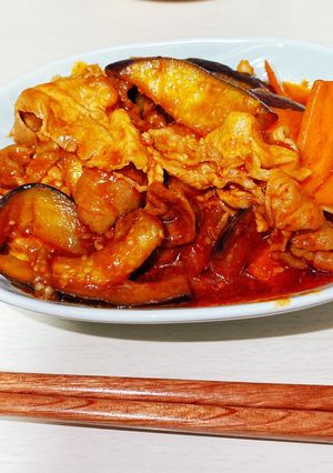 ご飯もお酒も進む！豚肉で作る麻婆茄子-レシピのメイン写真