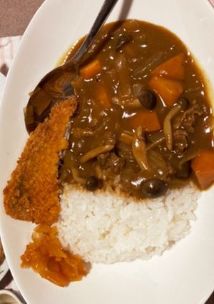 思いつき和風カレー-レシピのメイン写真