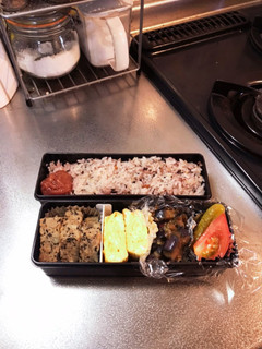 とうふハンバーグの和風お弁当-レシピのメイン写真
