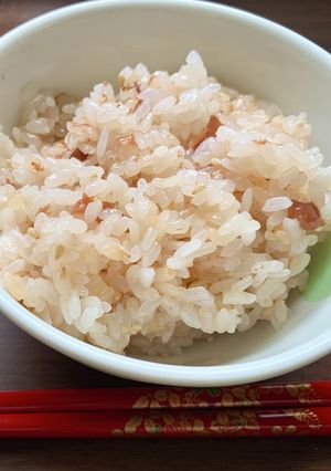 梅干しの炊き込みご飯-レシピのメイン写真