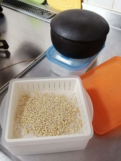 炊飯2021-レシピのメイン写真