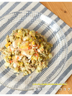 犬ご飯 / 夏野菜たっぷりゼリー-レシピのメイン写真