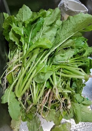 野沢菜漬け-レシピのメイン写真