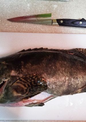 熟成魚の仕込み方-レシピのメイン写真