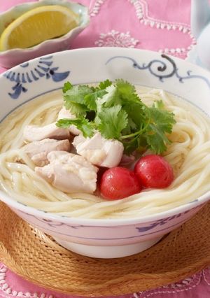 鶏肉のフォー風うどん-レシピのメイン写真