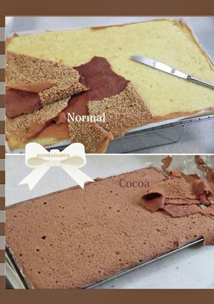 37×24cm天板で焼く*特大スポンジ-レシピのメイン写真