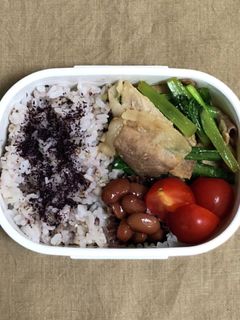 自分弁当・7月23日-レシピのメイン写真
