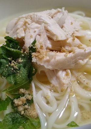 シンプルに旨い!鶏塩うどん柚子胡椒風味-レシピのメイン写真