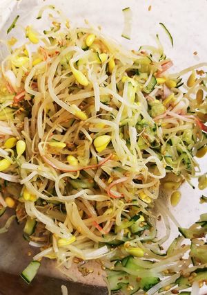 もやしとキュウリの味ぽんサラダ-レシピのメイン写真