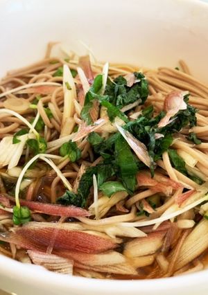 薬味たっぷりぶっかけそば-レシピのメイン写真