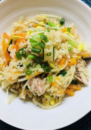 鯖缶で栄養たっぷり！炊飯器簡単ビビンバ♫-レシピのメイン写真