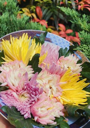 かまぼこで作る菊の花！重陽の節句のお祝い-レシピのメイン写真
