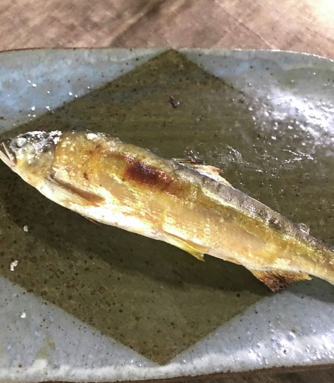 あゆの塩焼きさま確認ページ♡ ギフト 鮎 塩焼き あゆの塩焼き 《 5尾 セット 》[ 冷凍 ][ あゆ