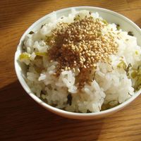 基本からアレンジまで！思わずつくりたくなる「高菜ご飯」の