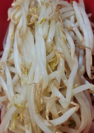 レンチンで茹でモヤシ-レシピのメイン写真