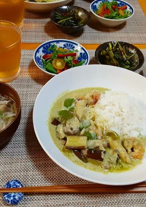 手に入りやすい調味料で！グリーンカレー-レシピのメイン写真