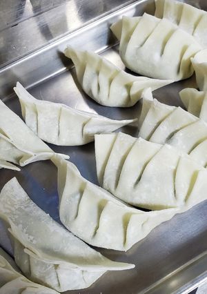 豆腐入りの基本餃子-レシピのメイン写真