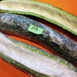 ゴーヤを新鮮に保存する方法