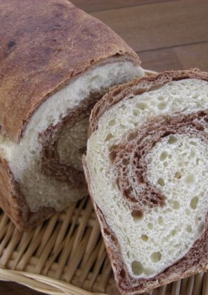 Cocoa roll bread-レシピのメイン写真