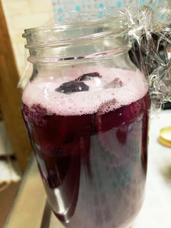 巨峰で自家製酵母-レシピのメイン写真