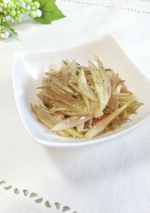 パパっと簡単♪シャキッとみょうが和え♪-レシピのメイン写真